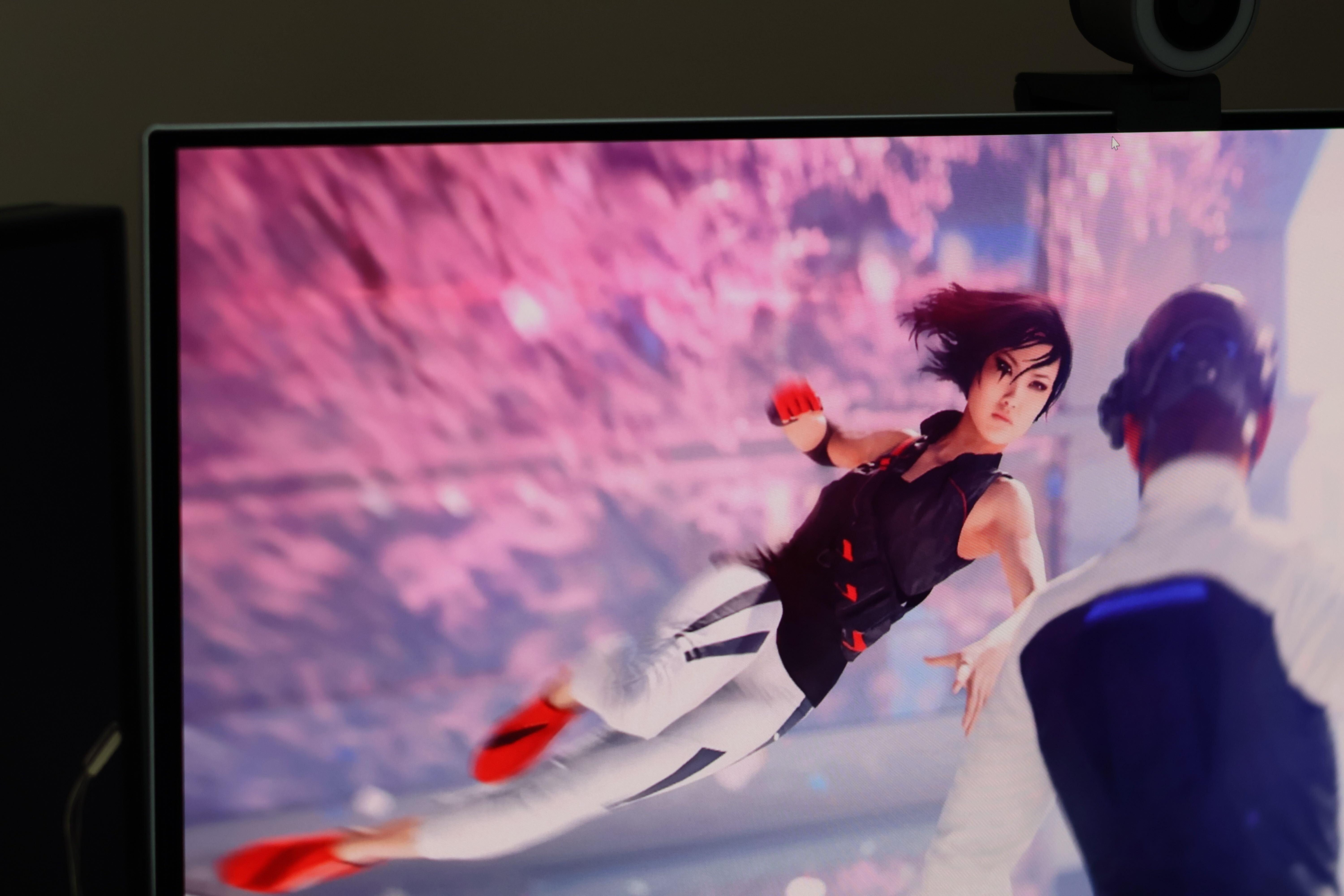OLED gaming monitors